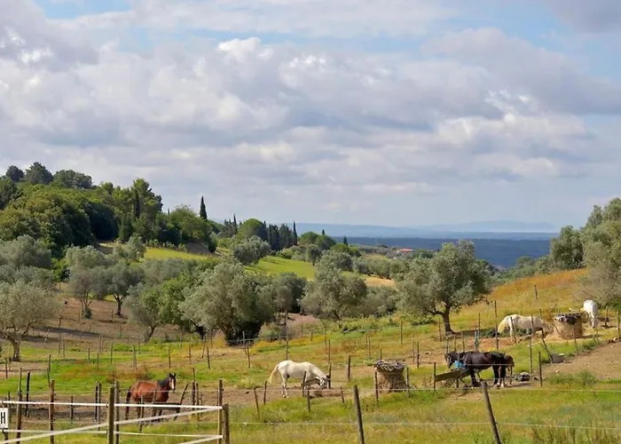 Casa Vacanze Poggettini